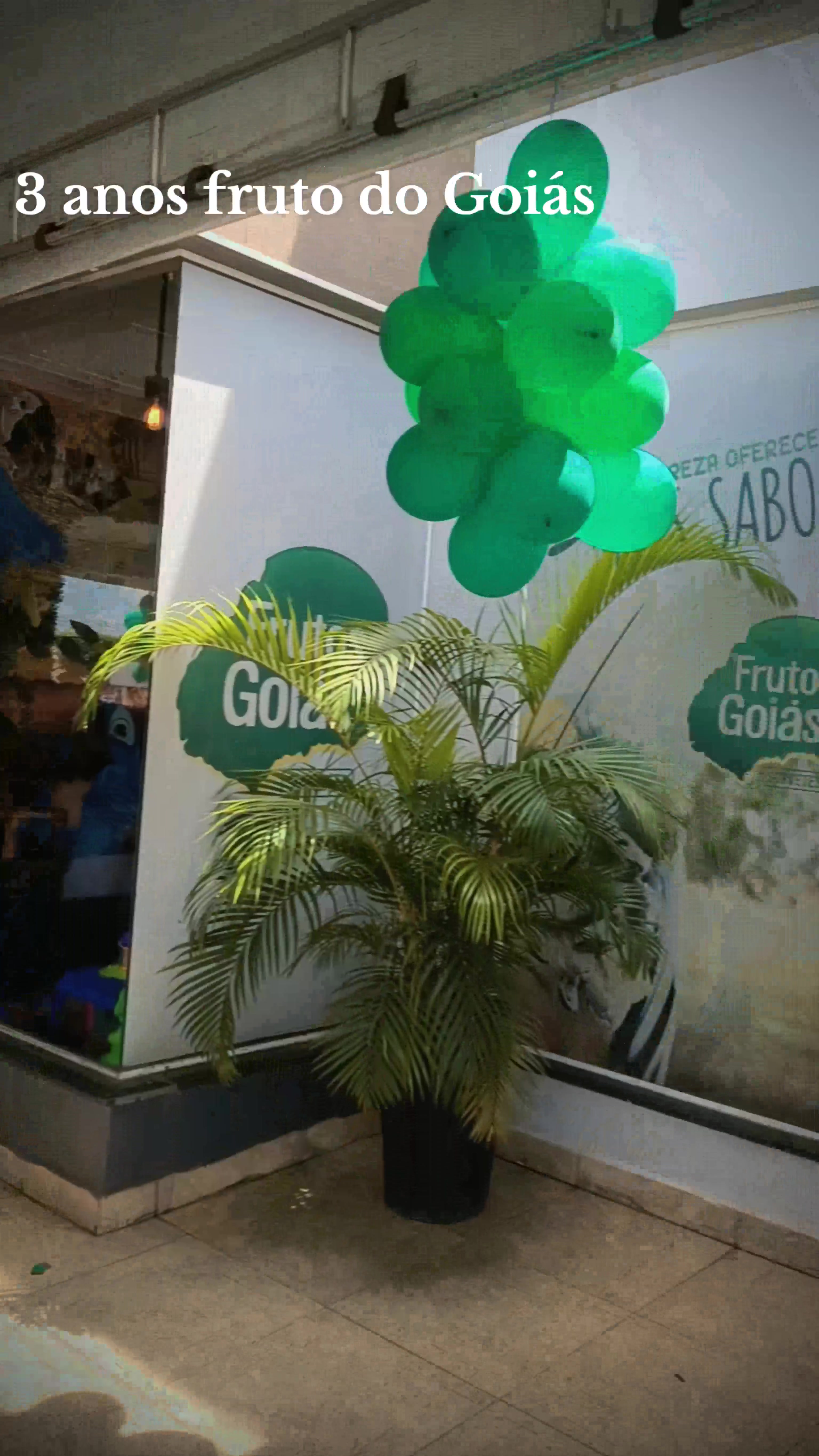 @Fran Decorações maos de fada