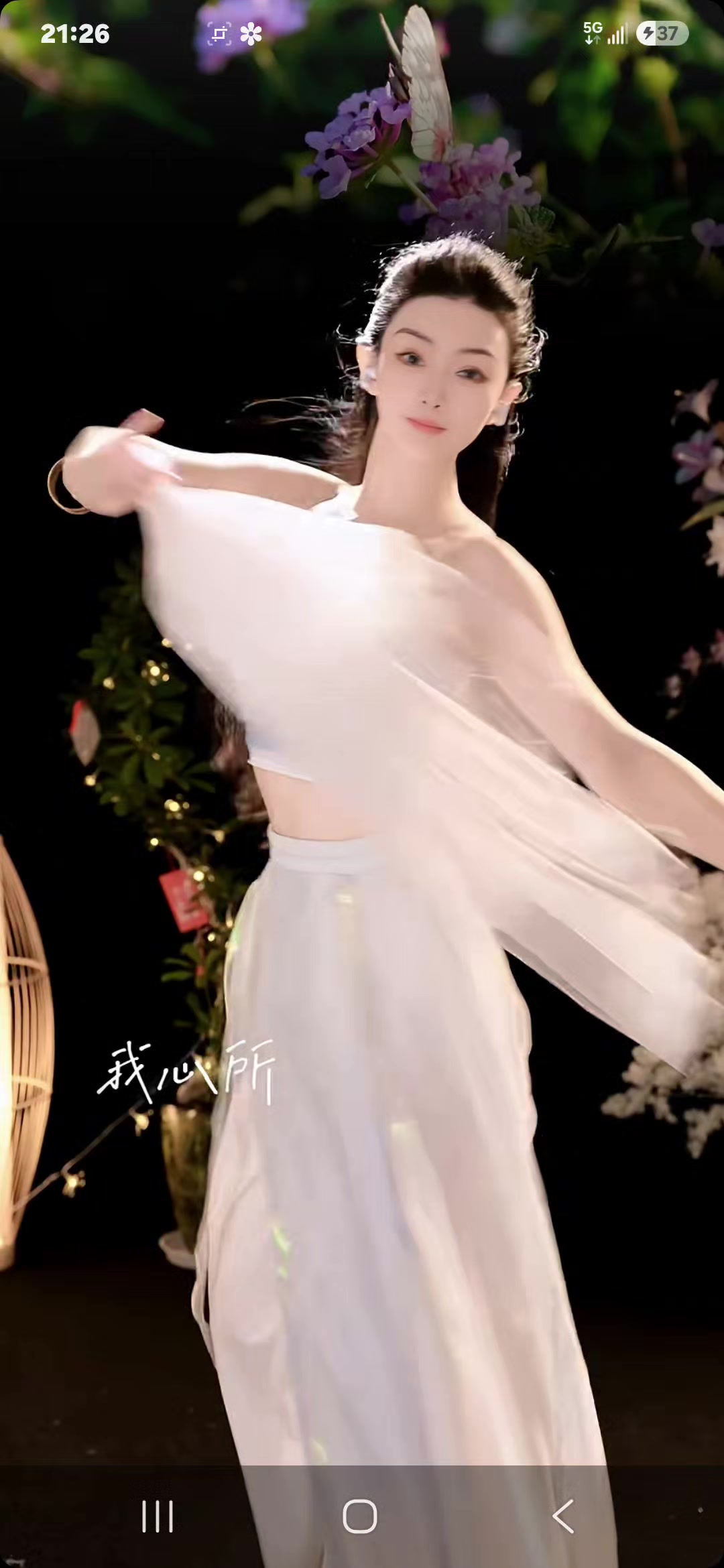 @七星🫰