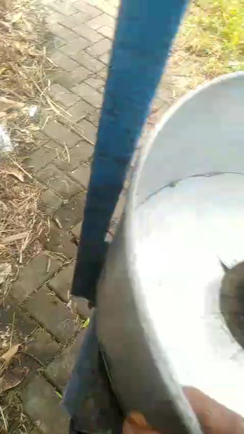 @Gembrot