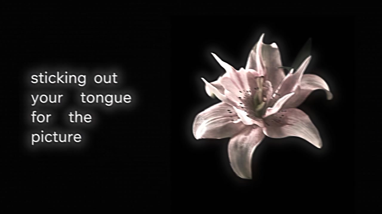 @𝘷𝘦𝘭𝘮𝘮𝘳𝘢𝘺𝘹