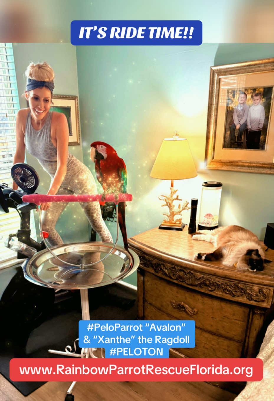 @RainbowParrotRescueFlorida