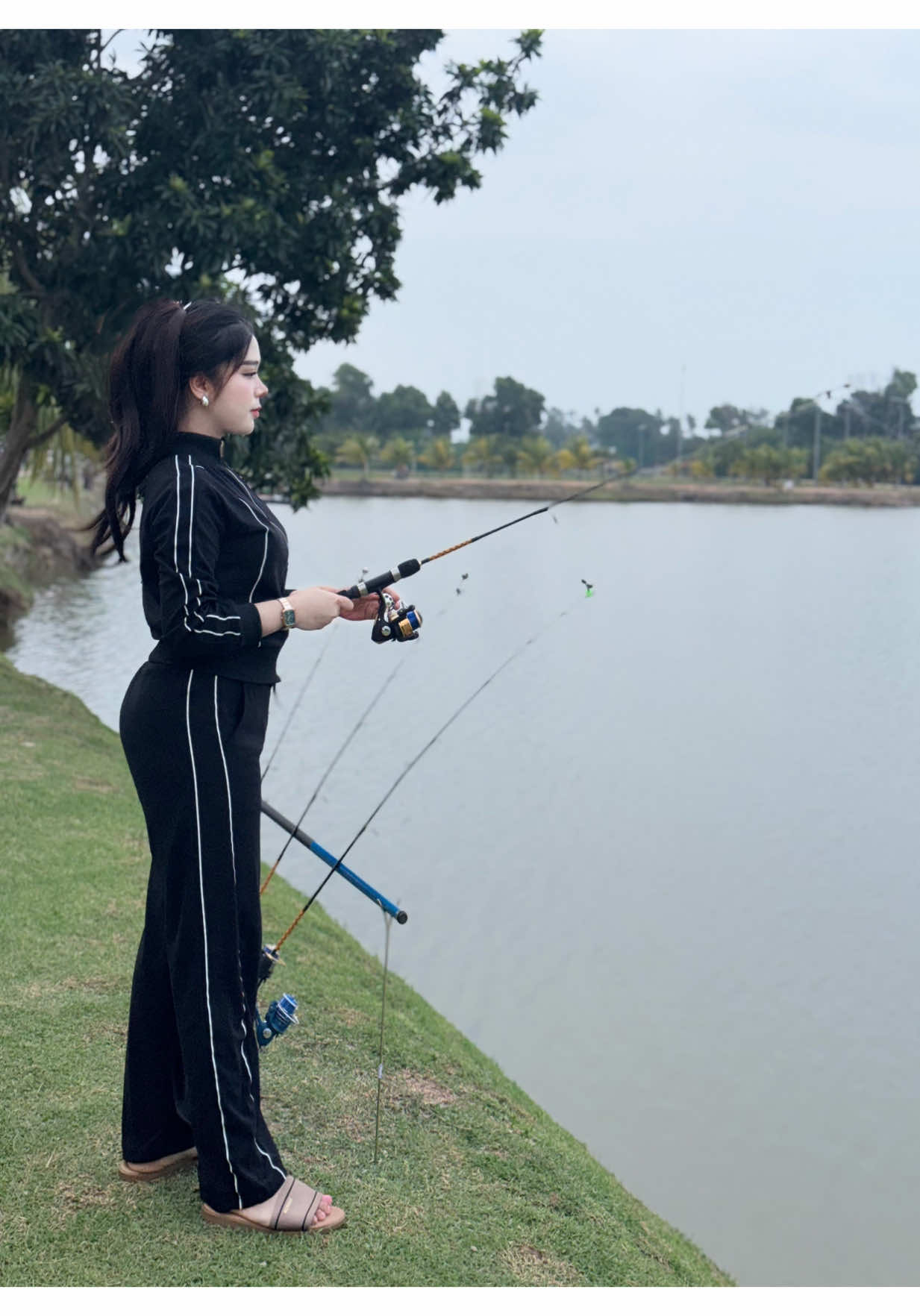 @dindafarish