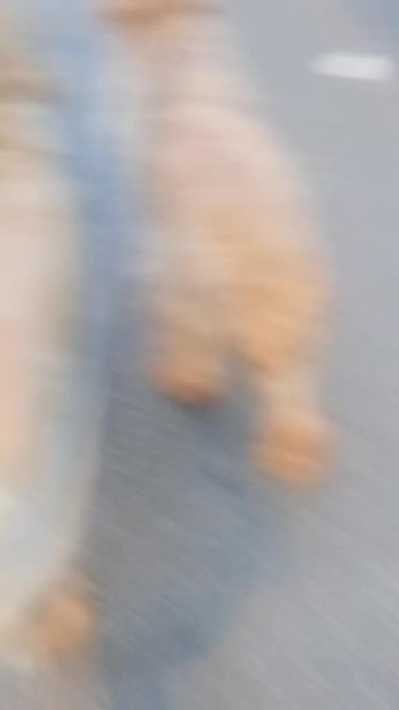 @lauralarini3