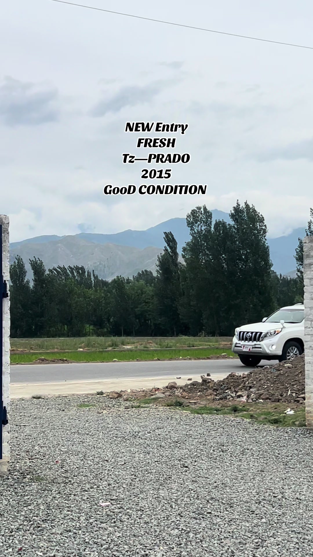 @NEW SWAT MOTORS
