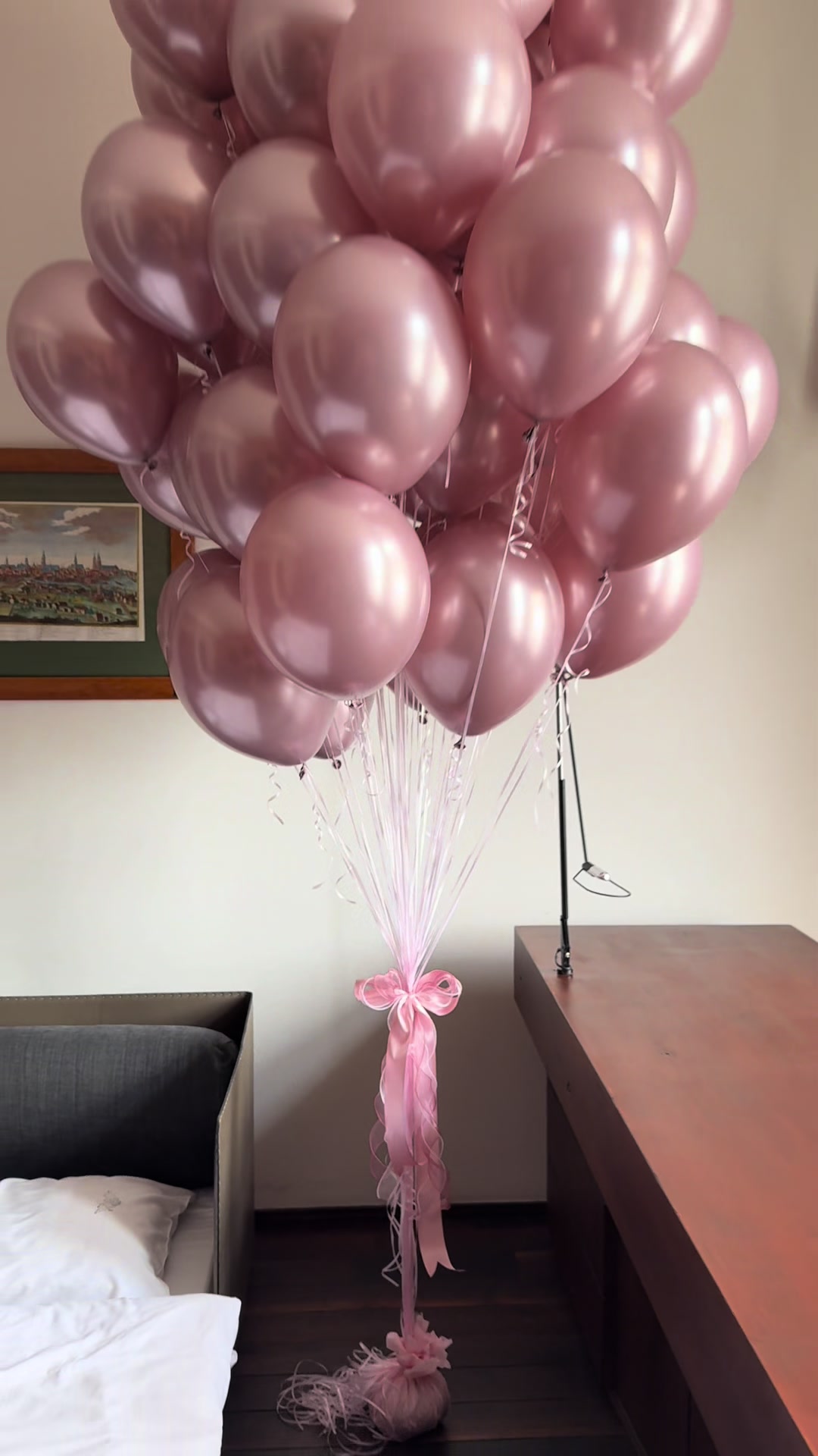 @Шары BALONY WROCLAW