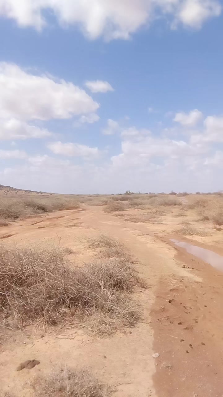 @Gadhka buqdharkayn🦁🇸🇴