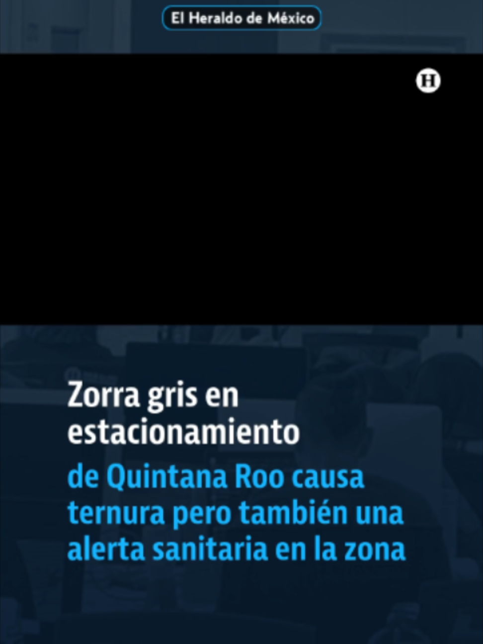 @elheraldodemexico
