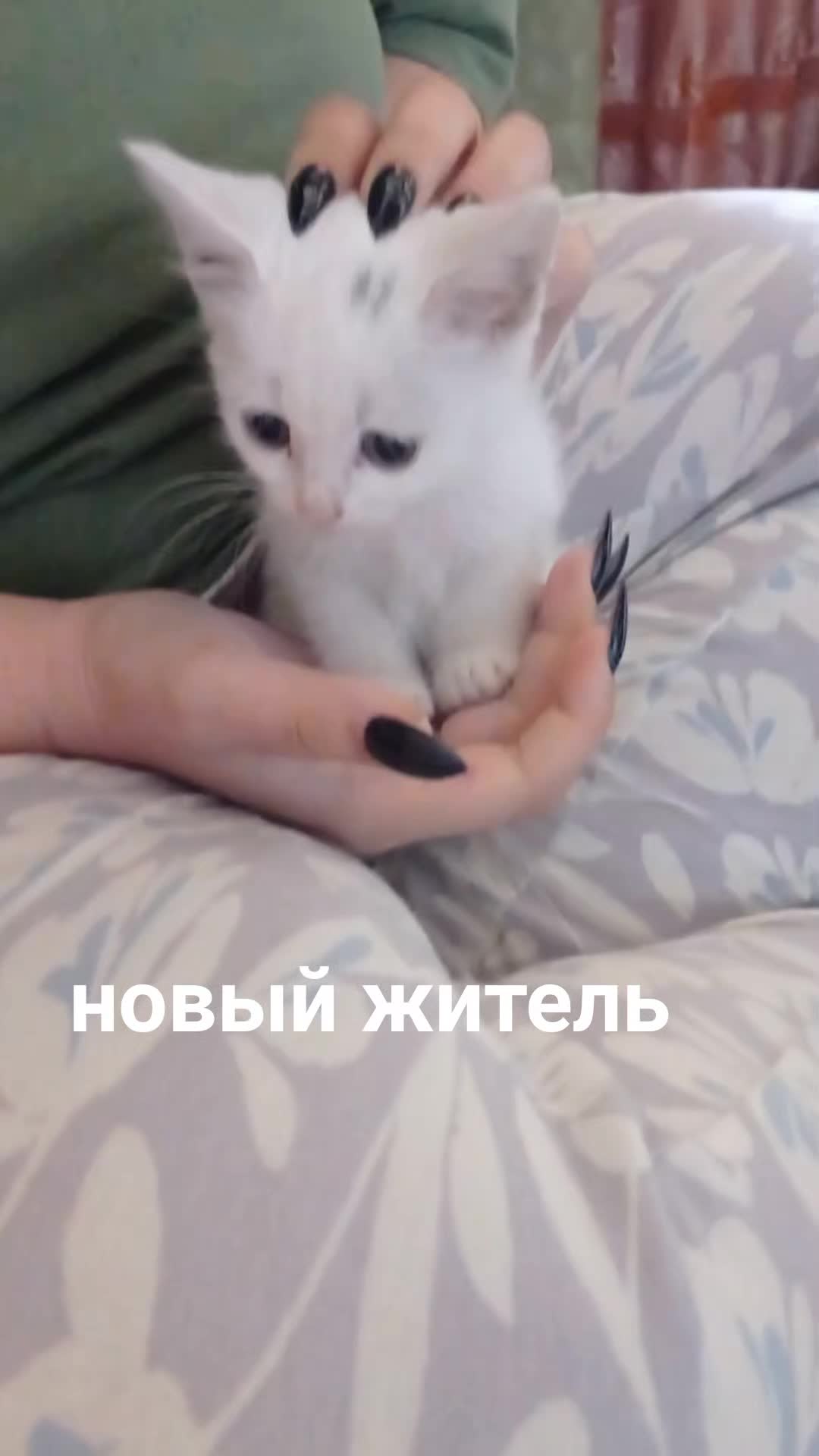 @УМКА