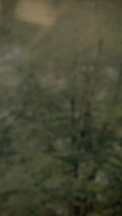 @Saadixe_001