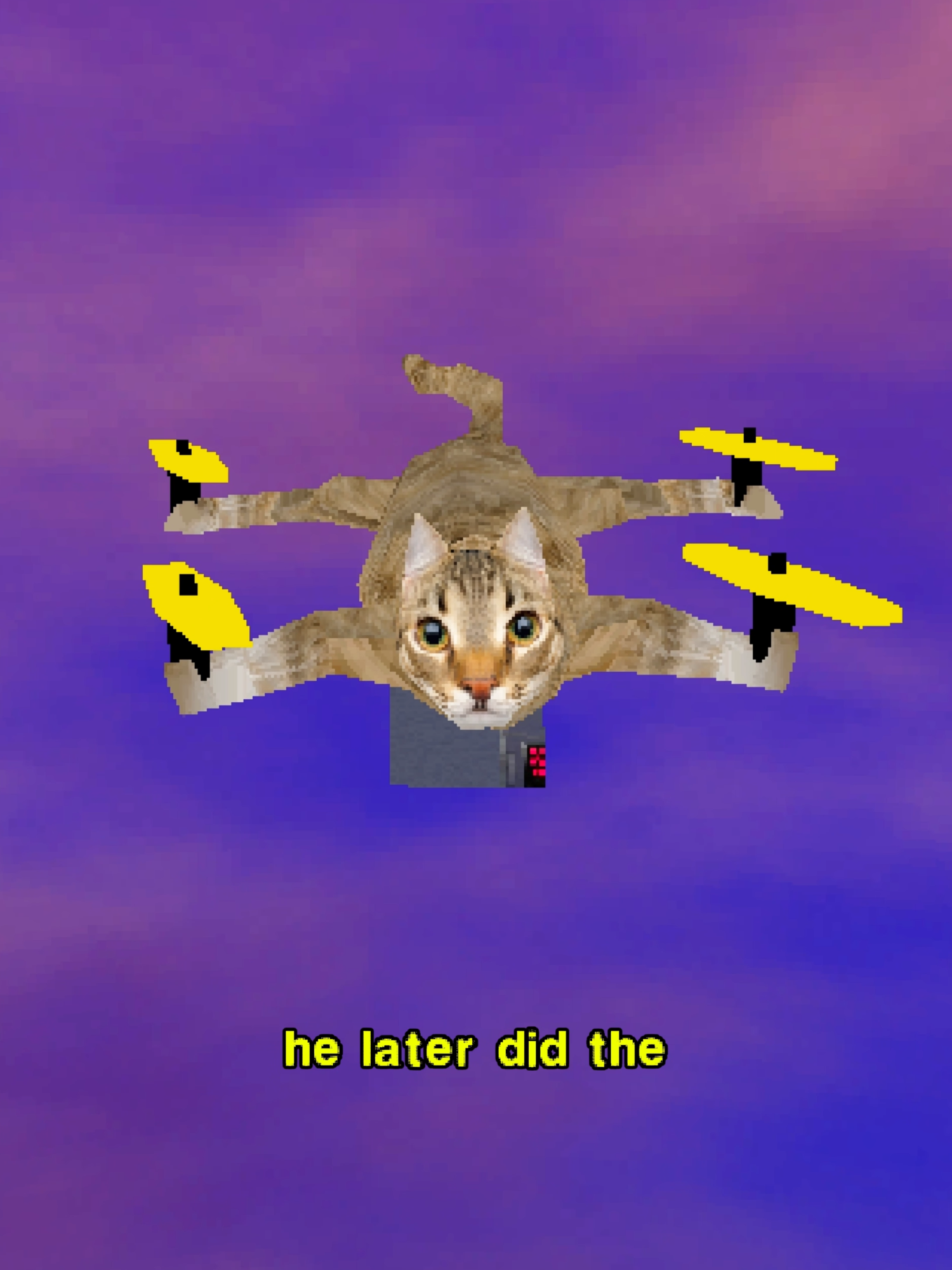 @Low Poly Shorts