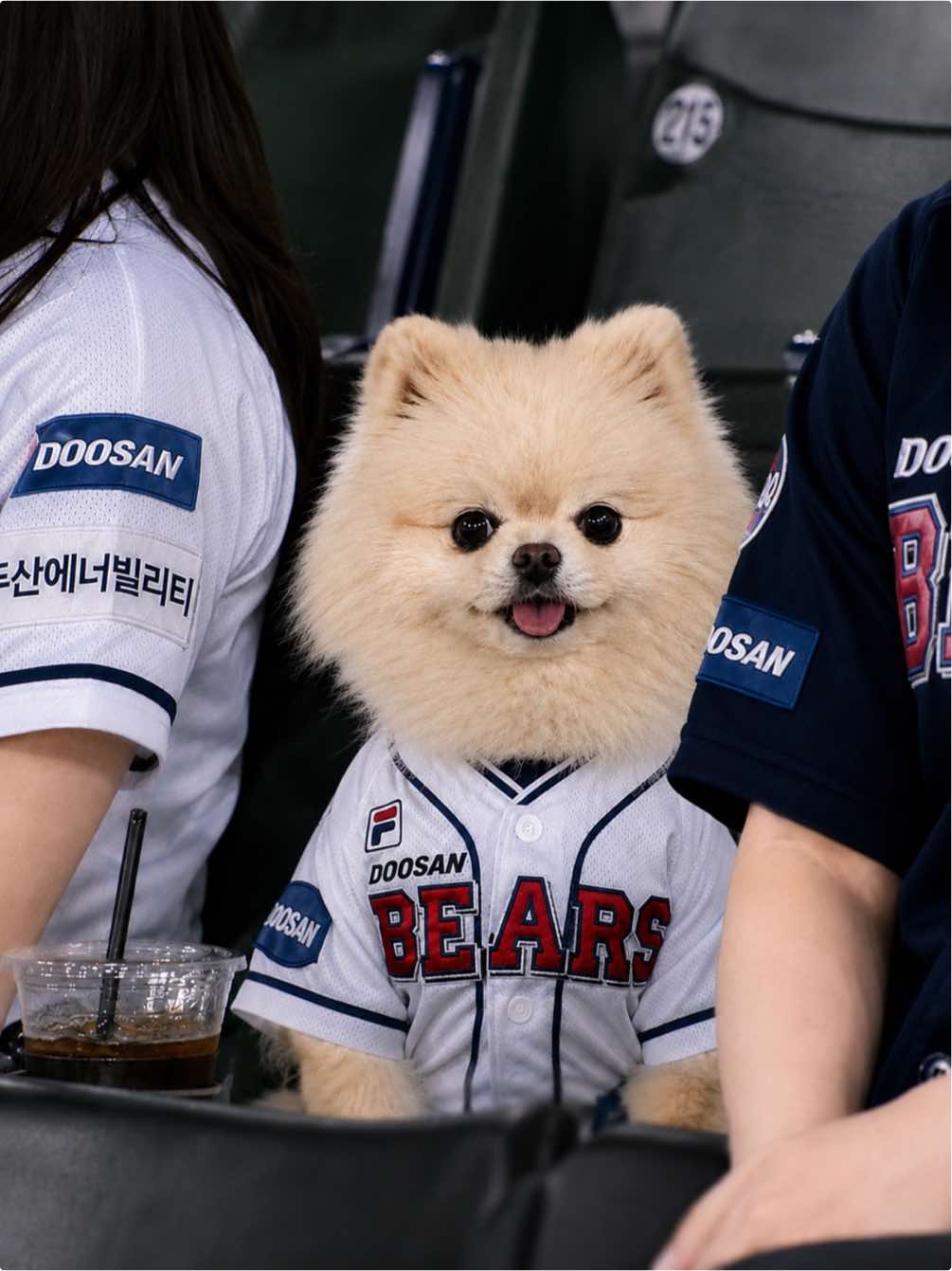 @뿌쇽🐻&zwj;❄️🤍