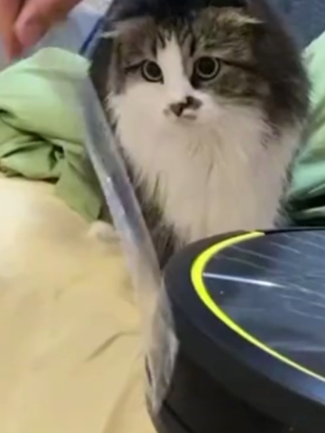 @БУЧ211