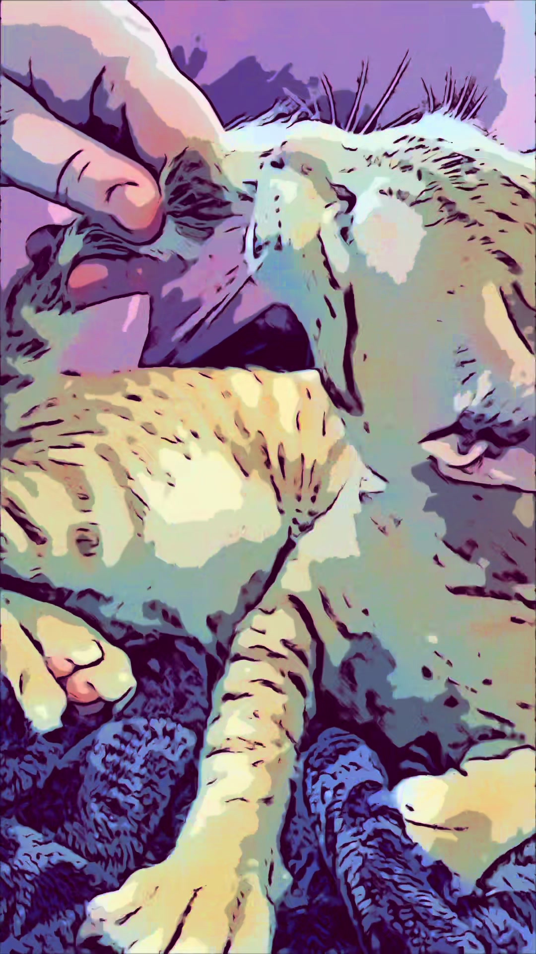 @Father5cats