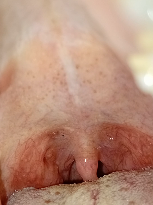 @faizubhira