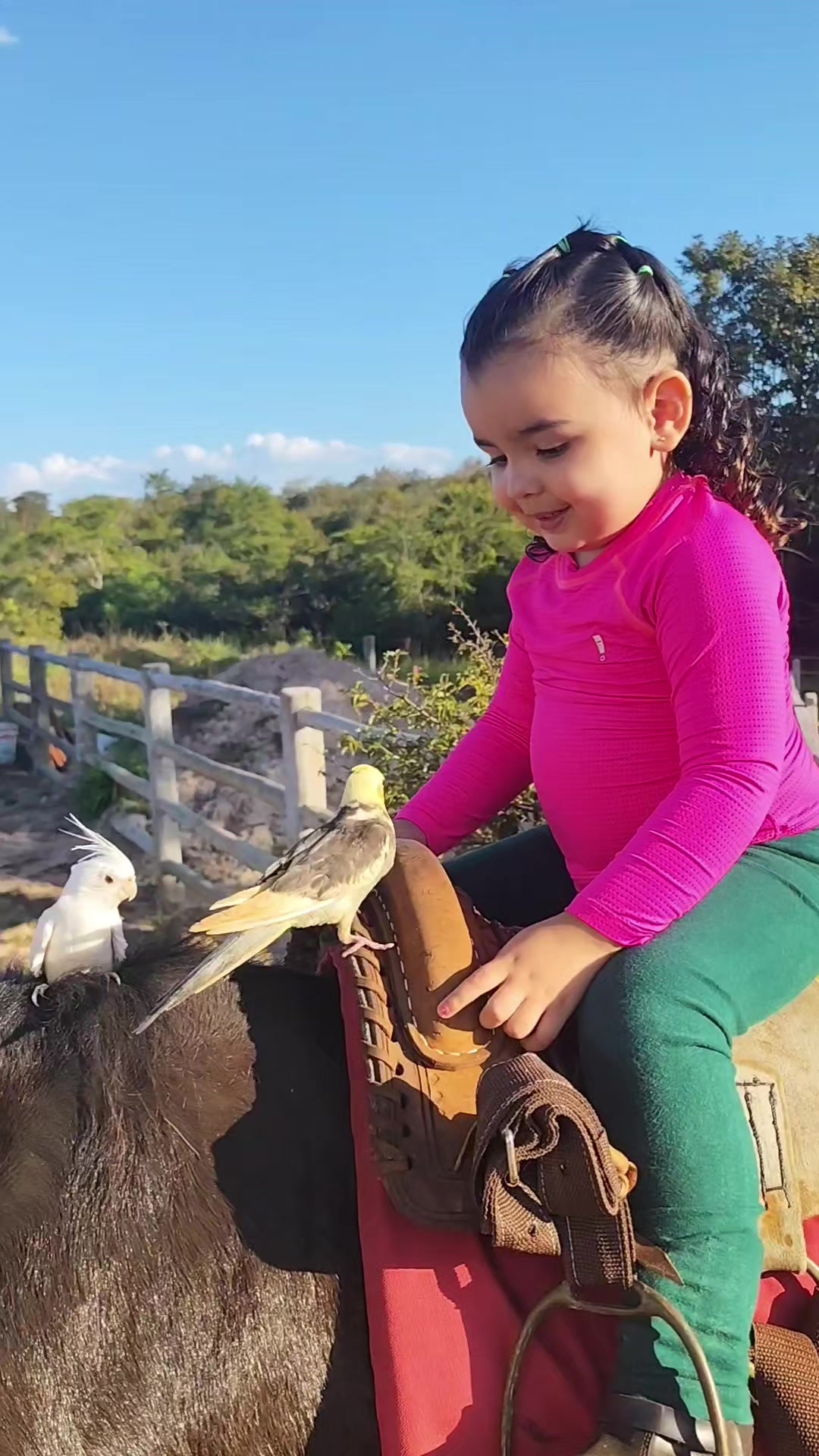@Bianca Machado