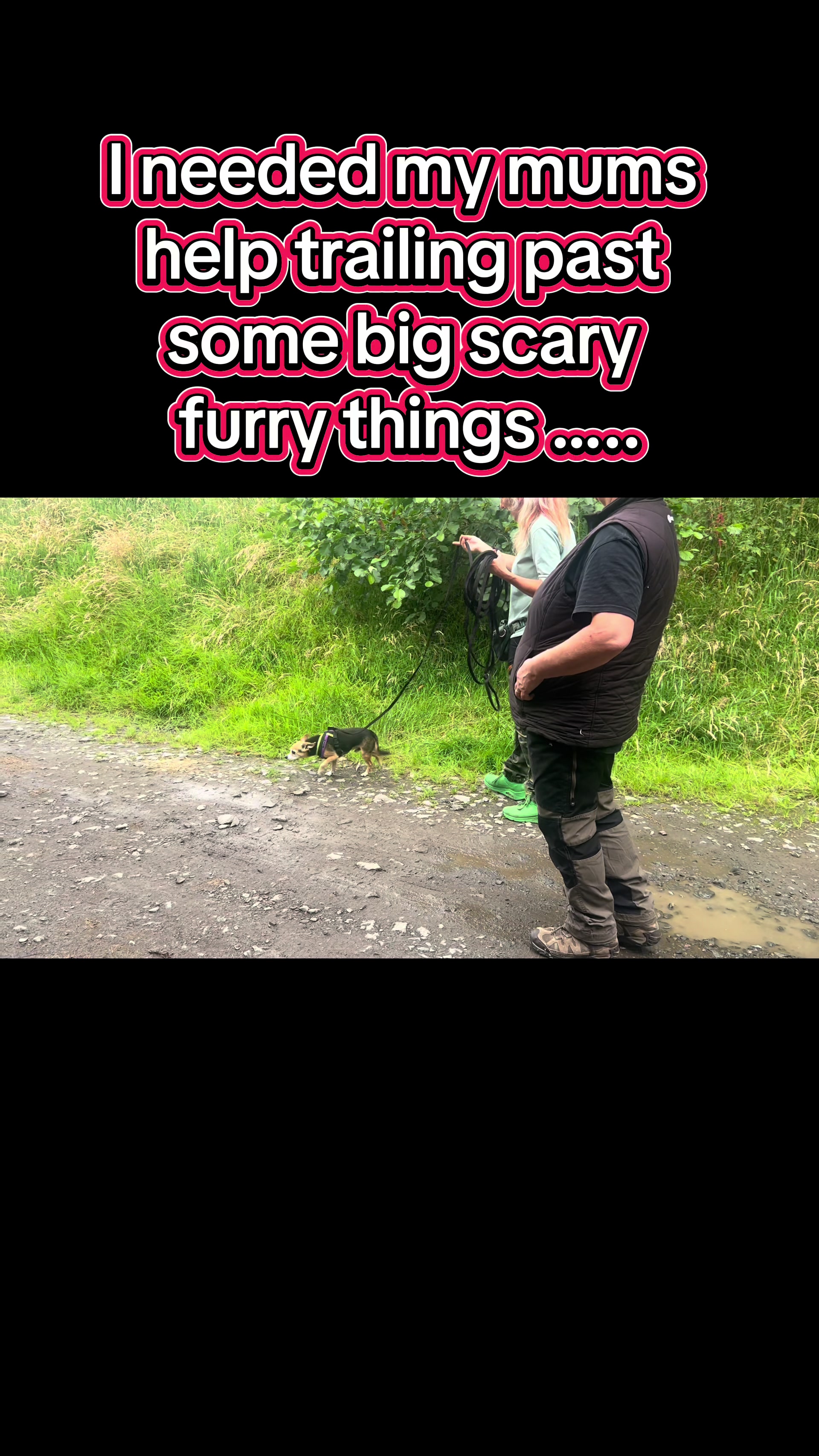 @diddydogz