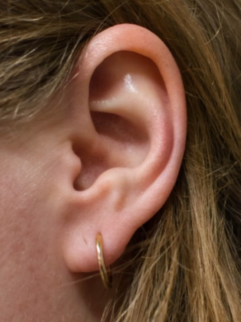 @PiercingsWorks