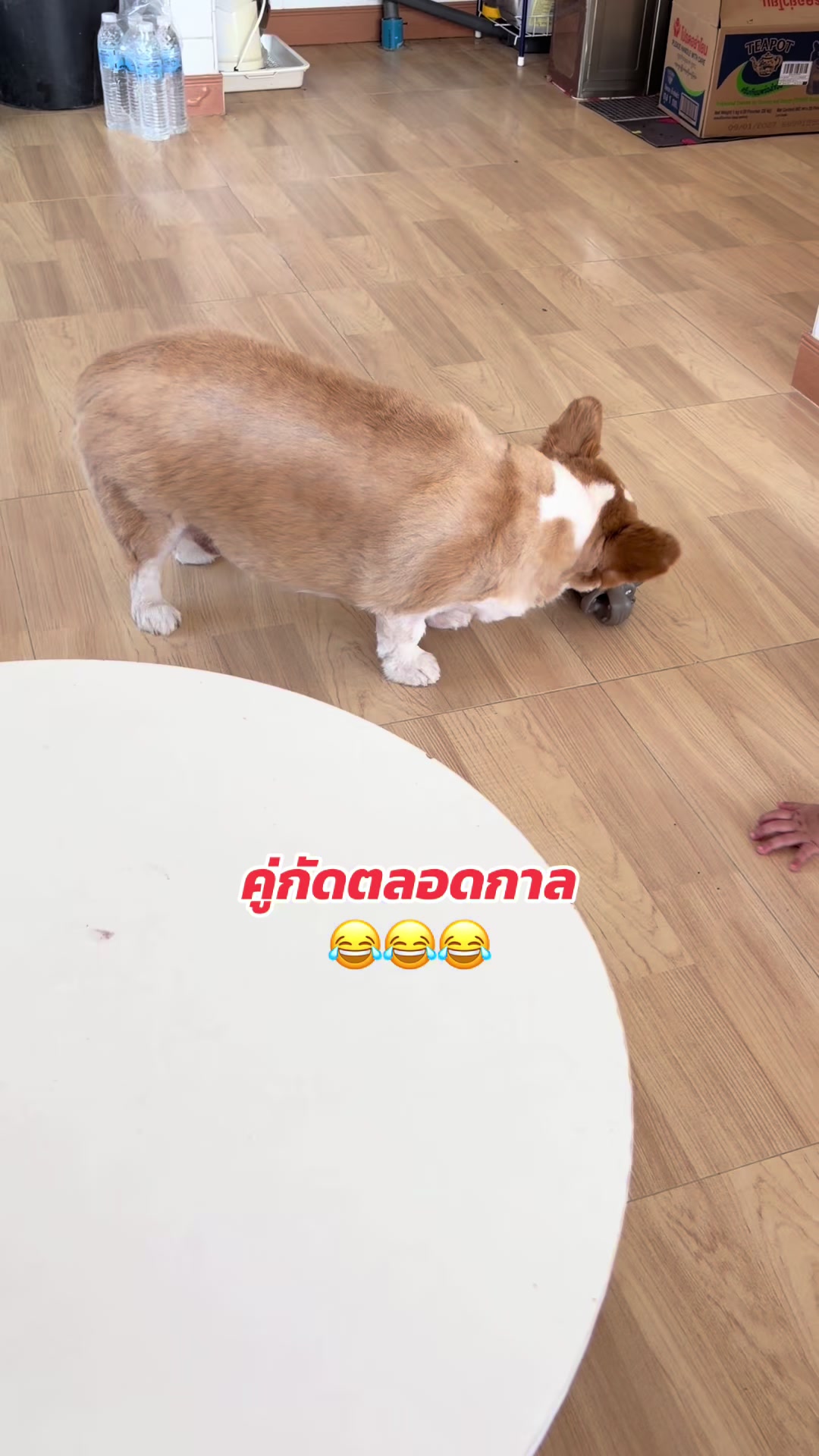 @แอนอรมาร์ทเก็ต