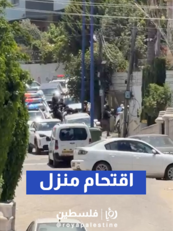 @Royapalestine رؤيا فلسطين