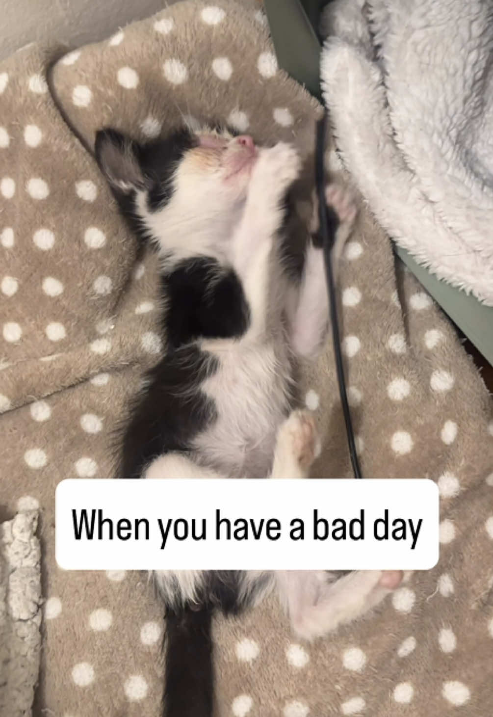 @cosanostrapurr