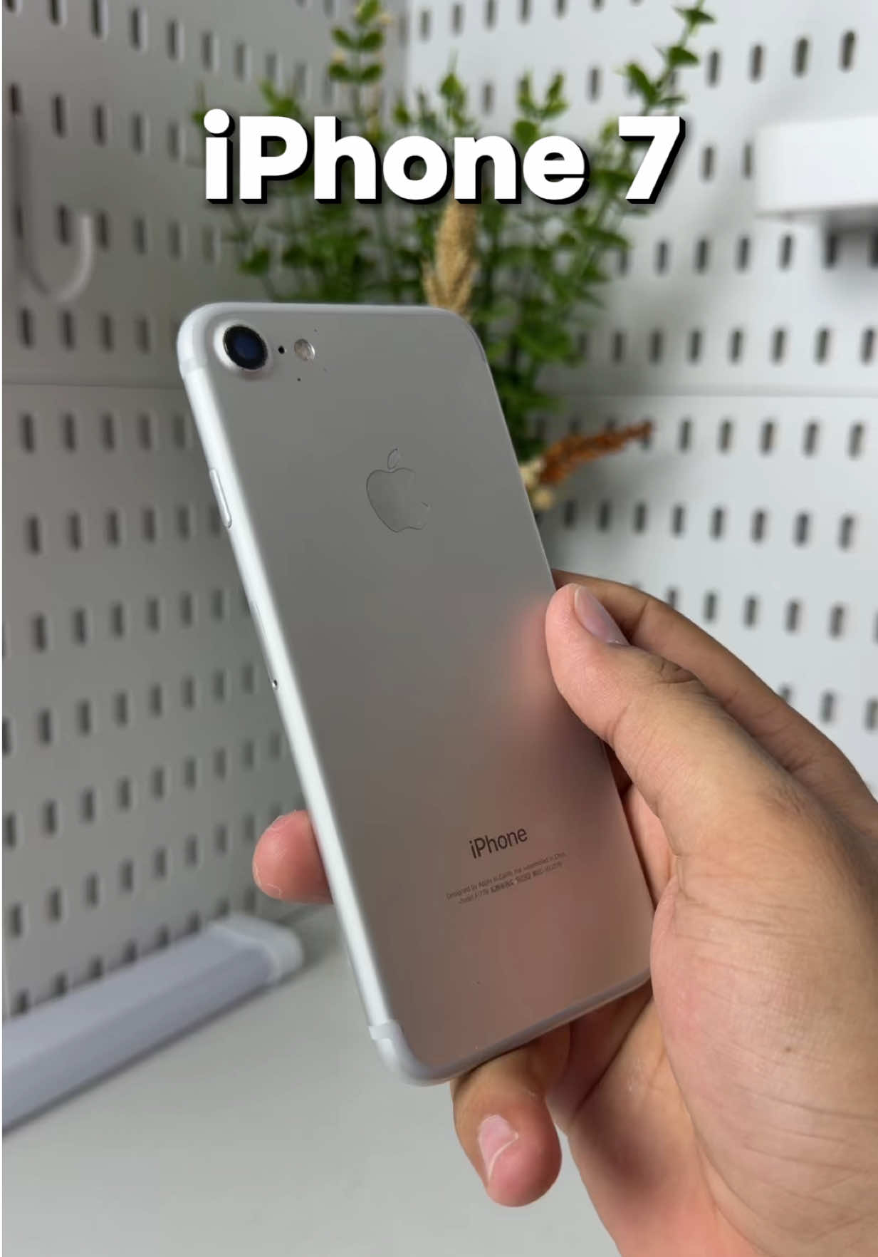 @iPhonary 🩷