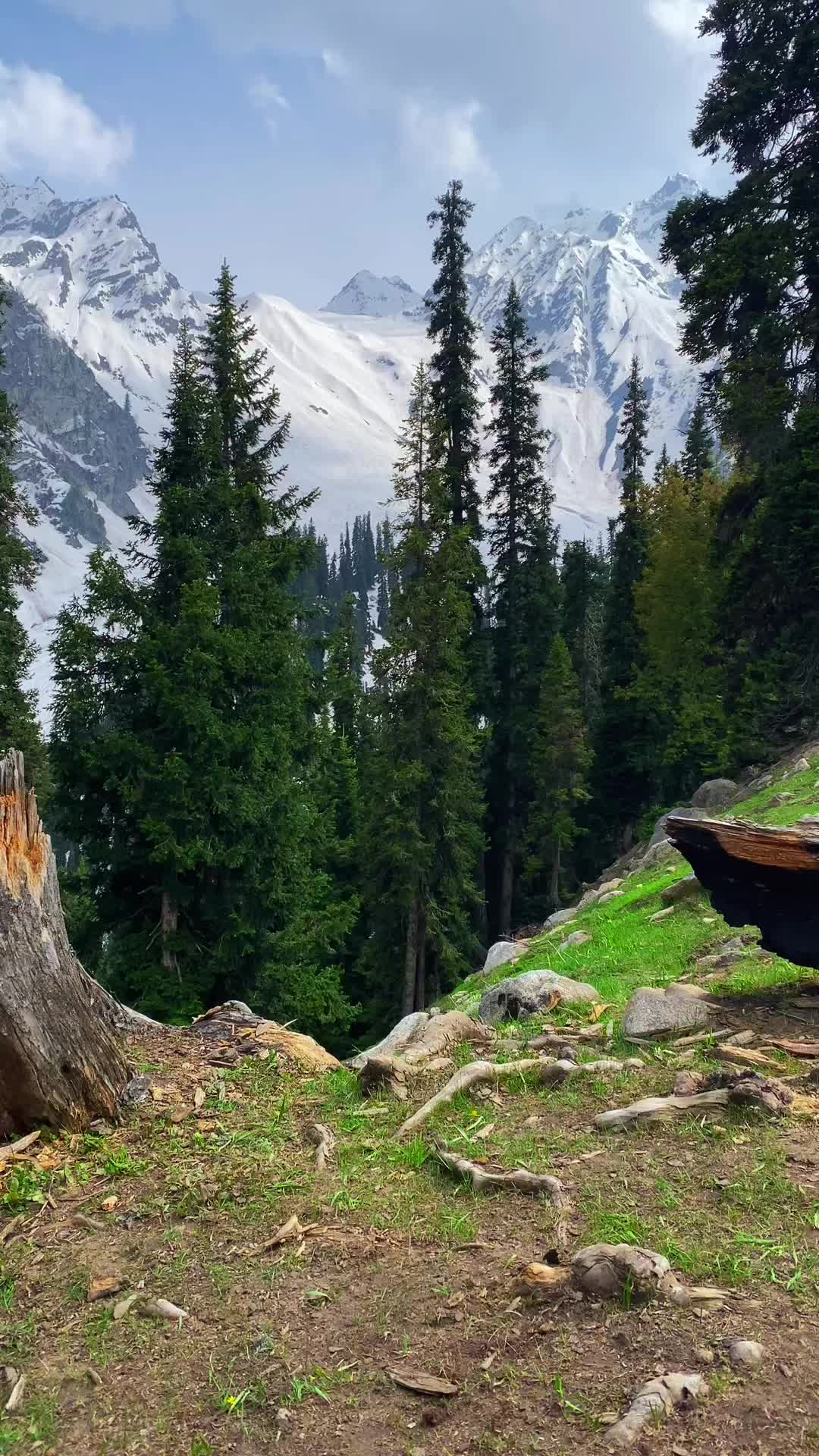 @Vista_Skardu