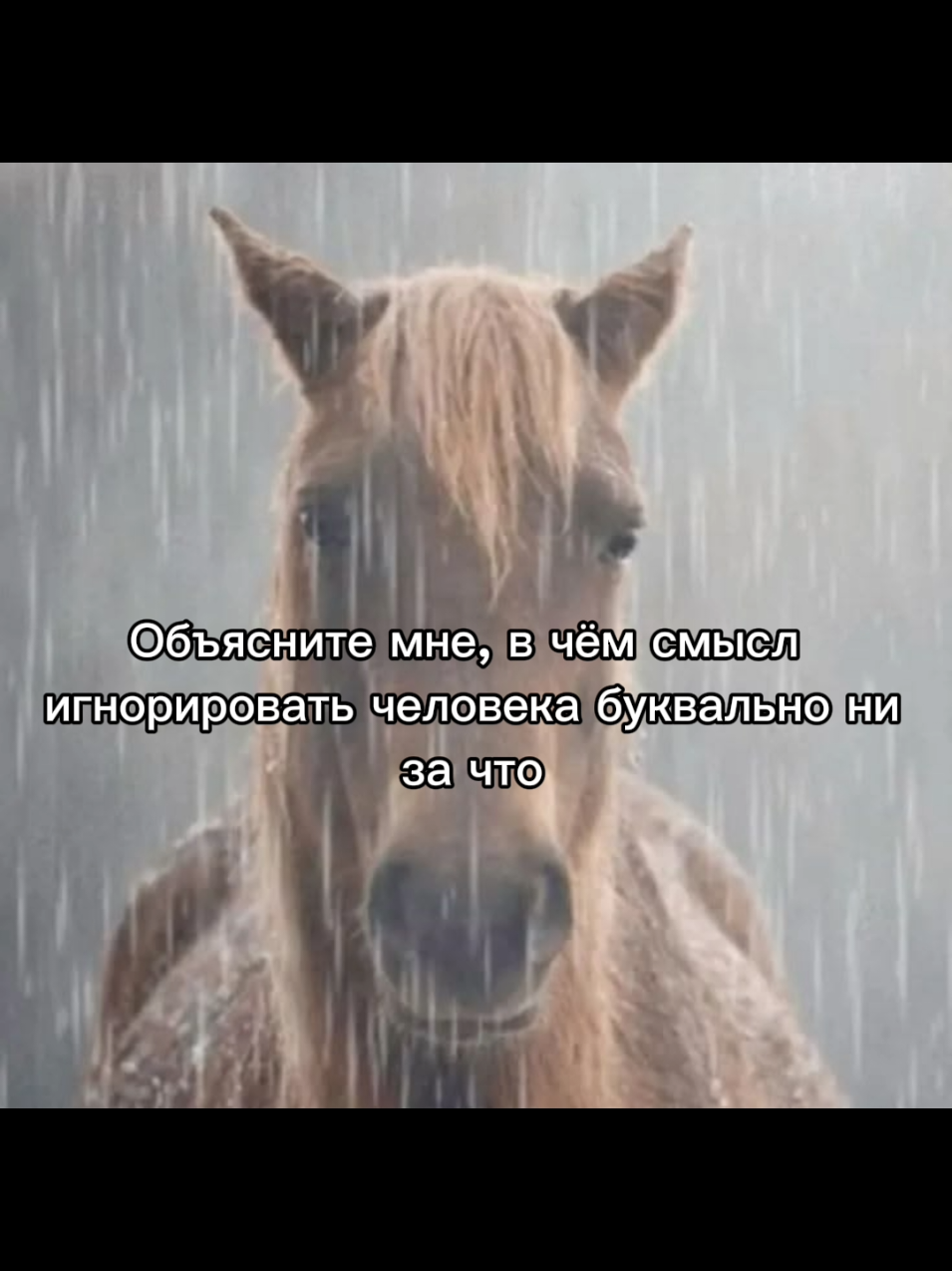 @Мурка