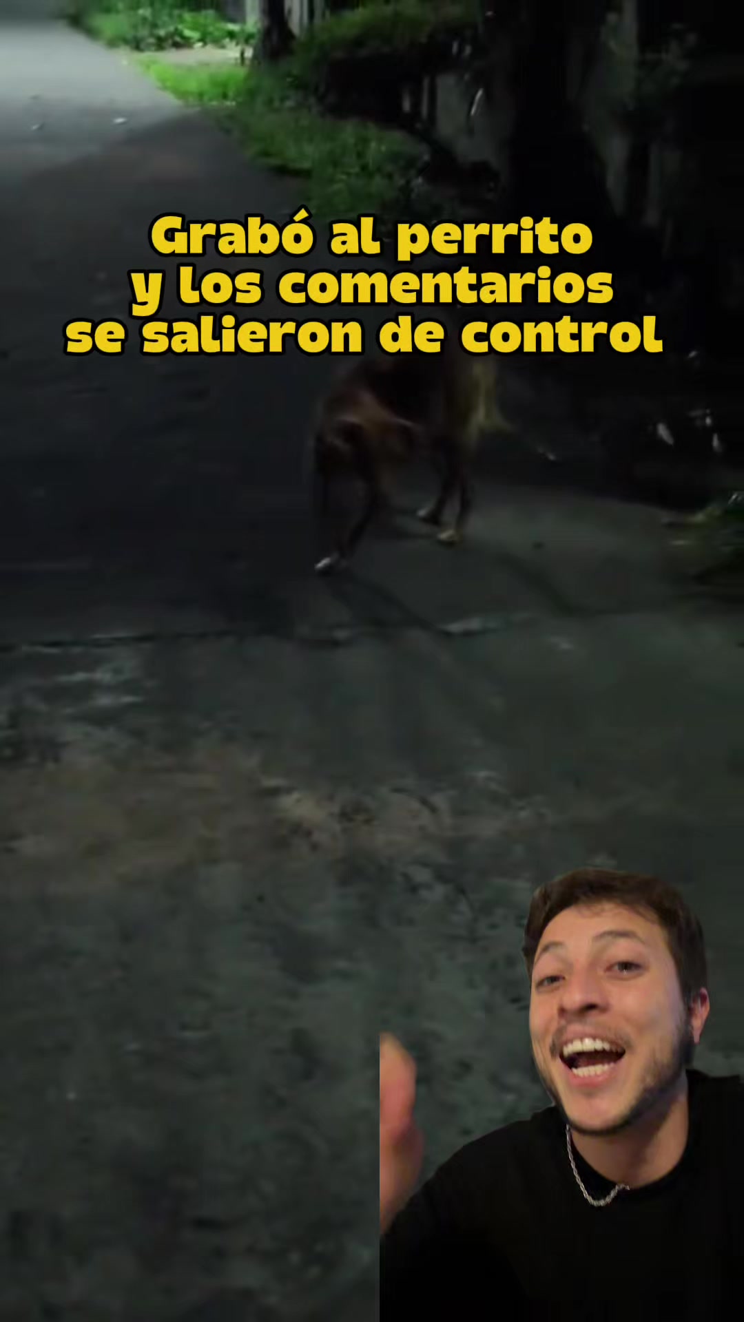@elmetacho_
