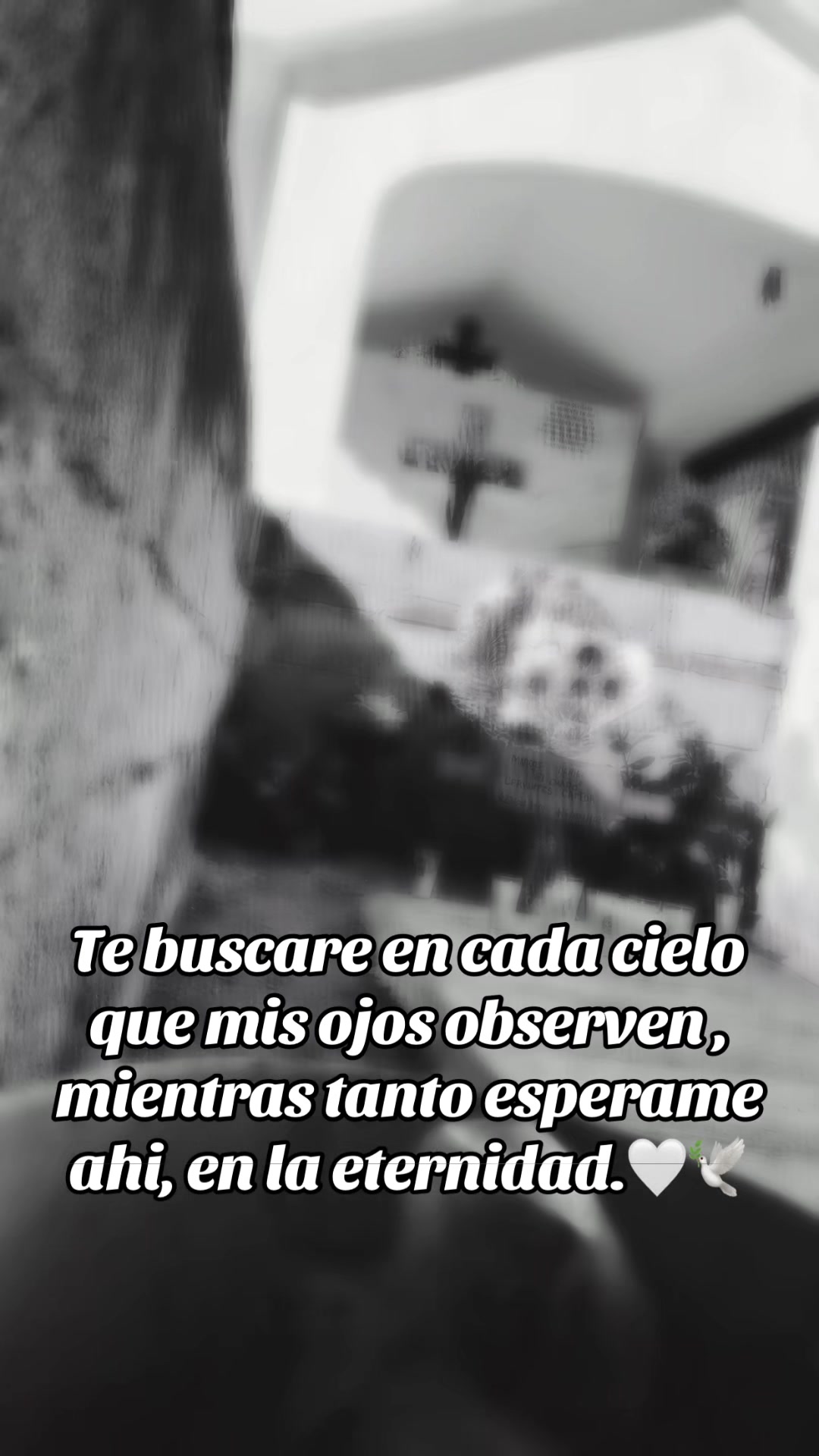 @El de la sonrisa eterna🪶🤠