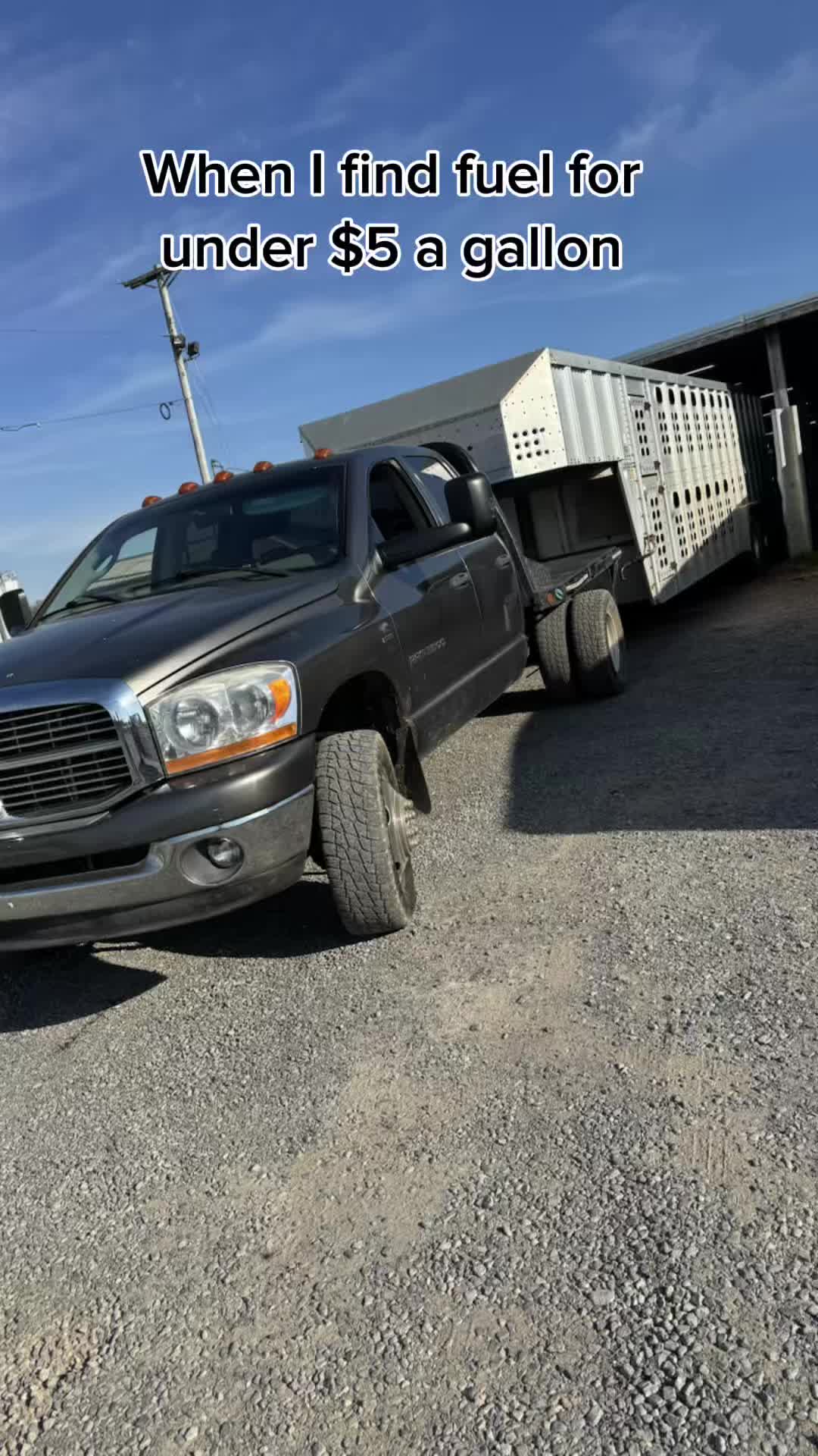@tripleclivestock