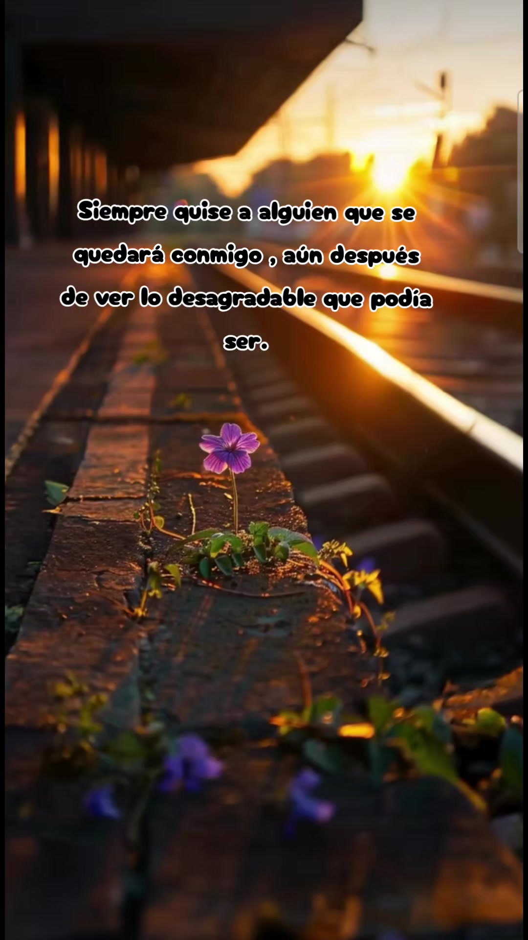 @Jorge Luis Bustos