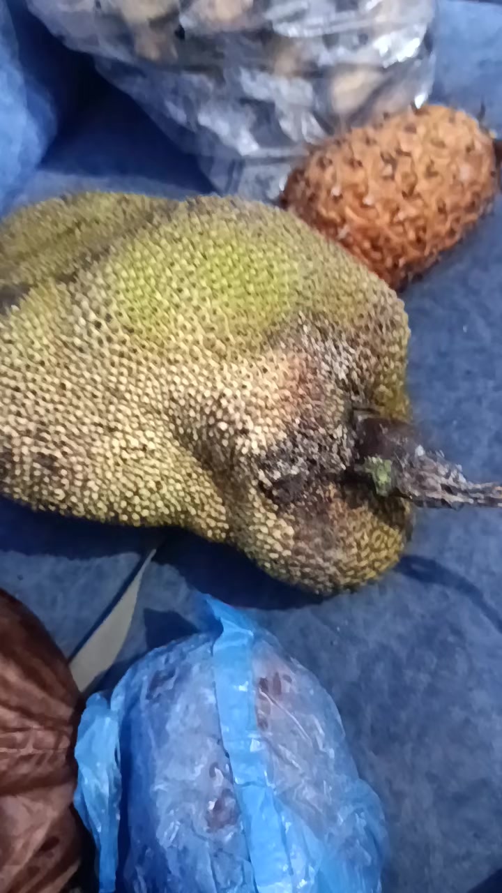 @Indira Basnet