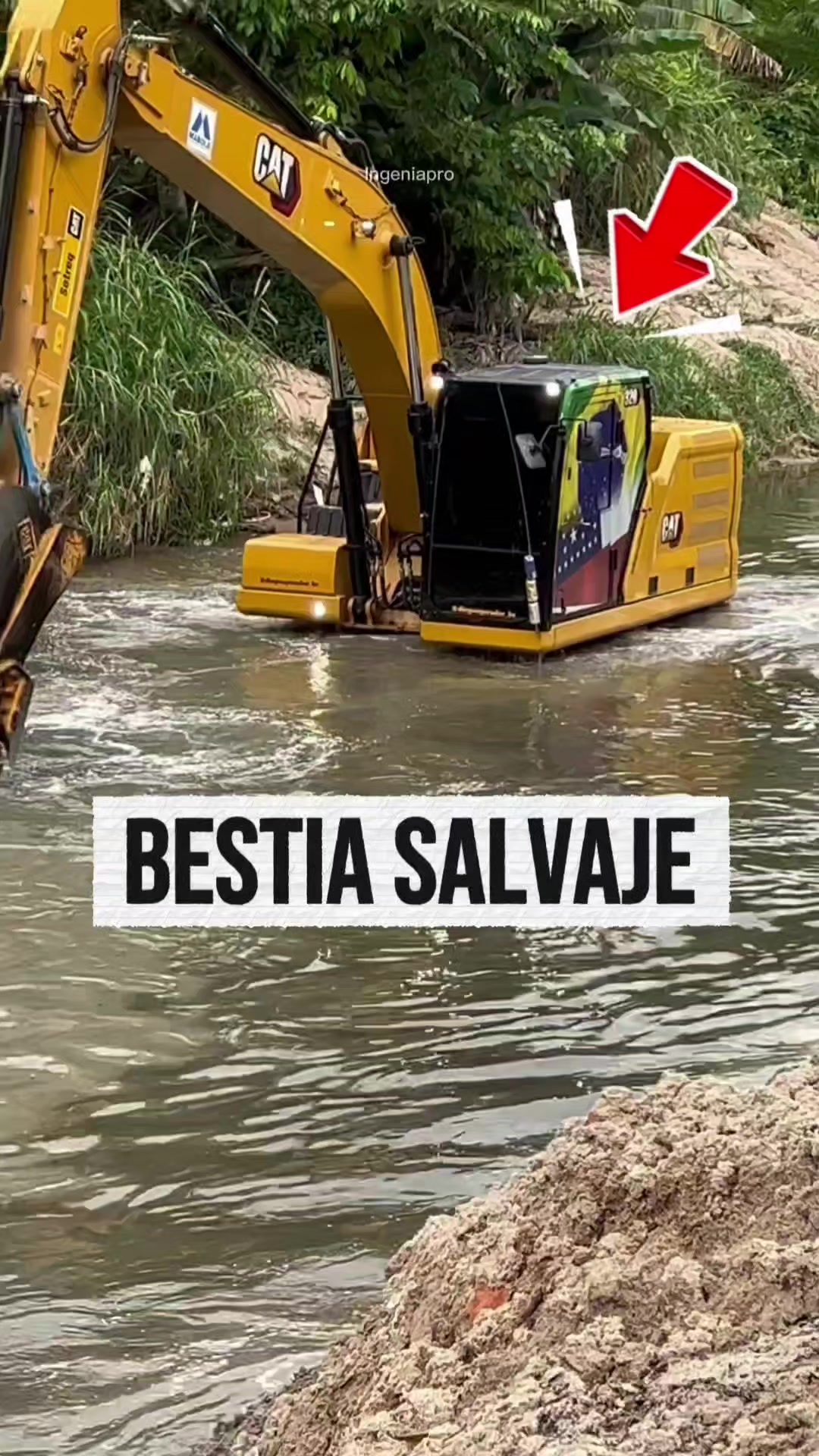 @IngeniaPro