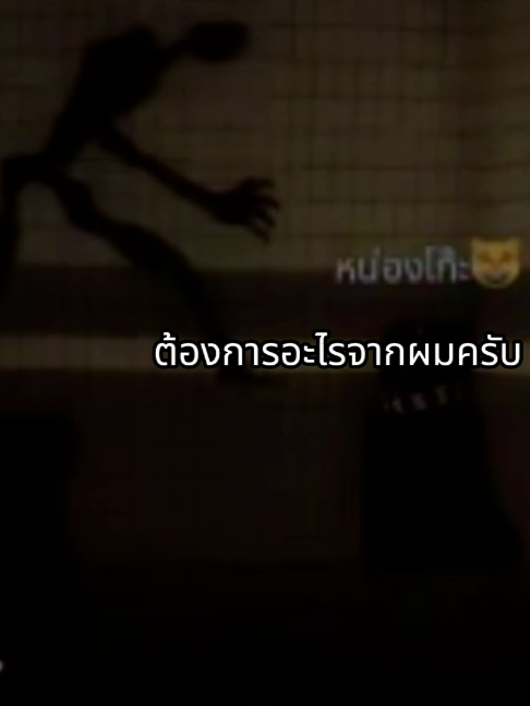 @Miso