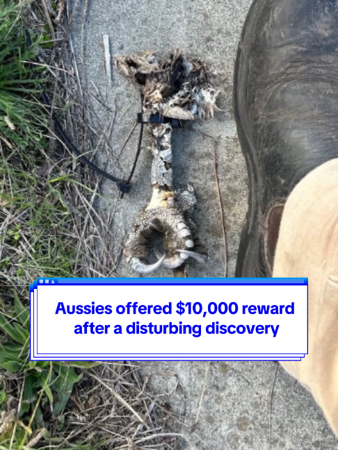 @Yahoo Australia