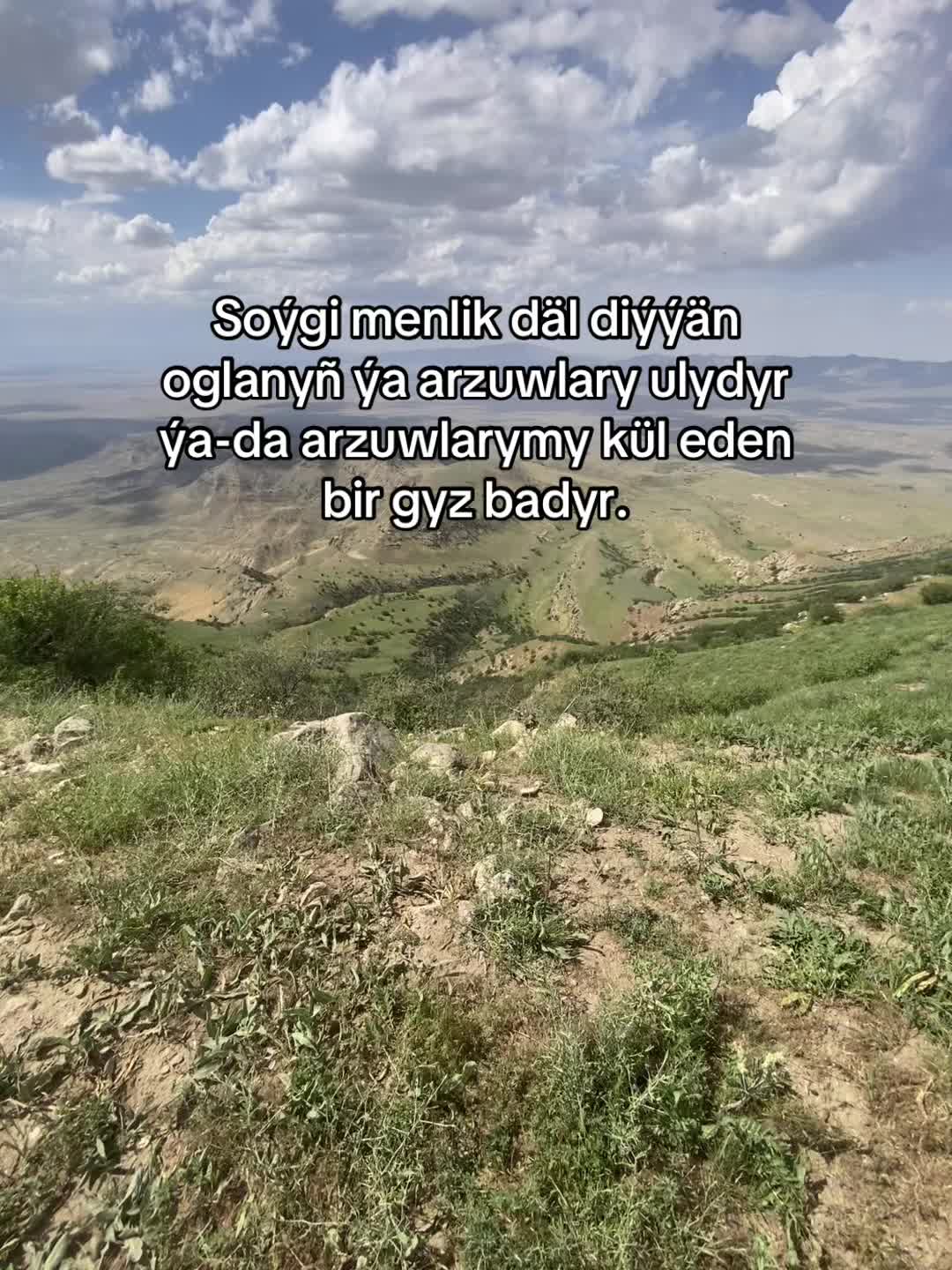 @multik🇵🇸
