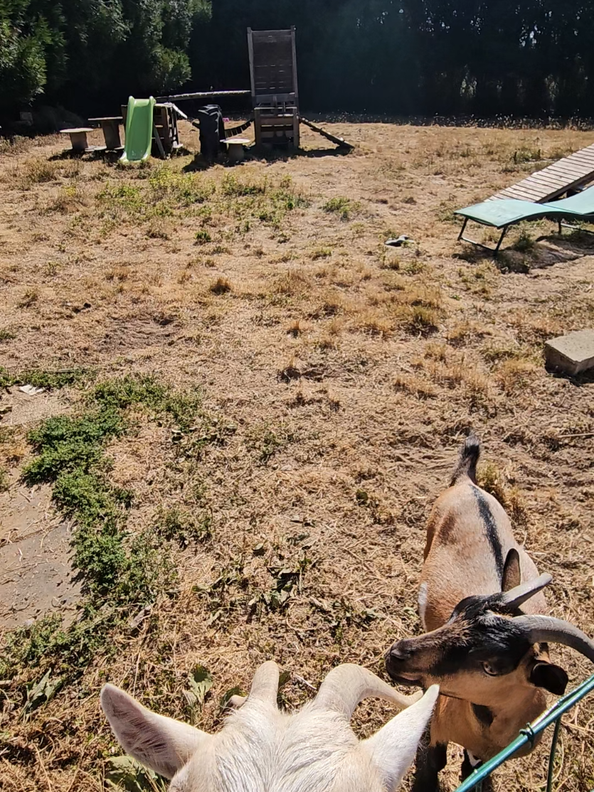 @Marina .🌺