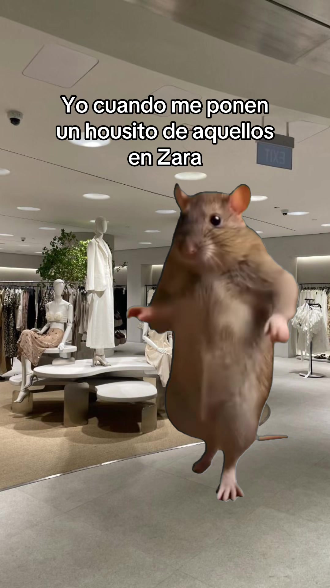 @zarahouseplaylist