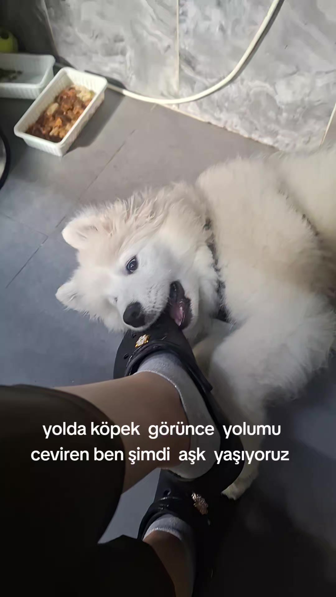 @semratekin 20