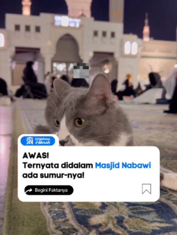 @Perjalanan Hikmah