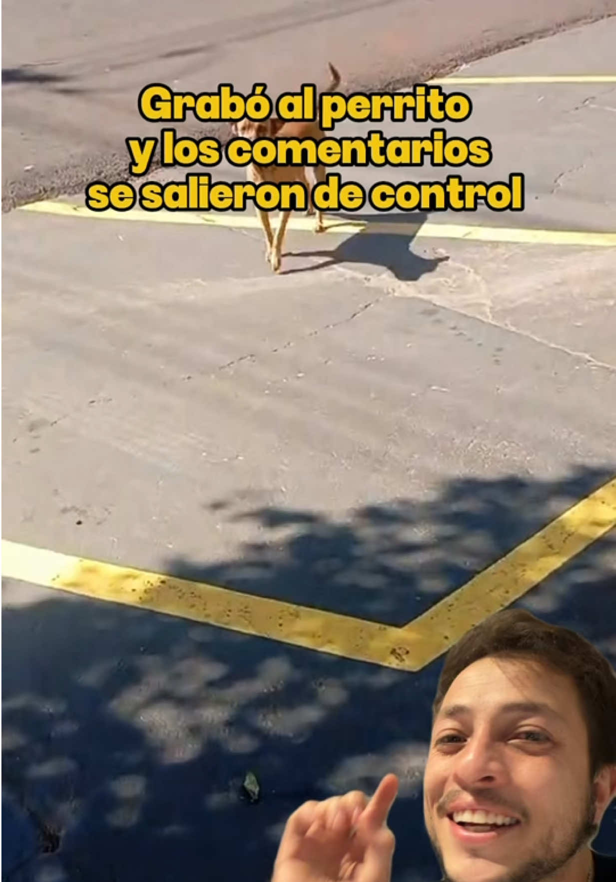 @elmetacho_