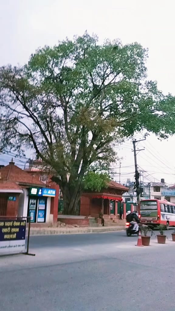 @Rupa magar