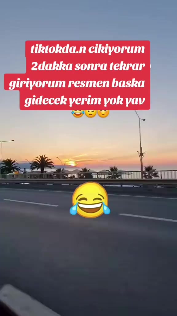 @İstanbul pati dunyasi