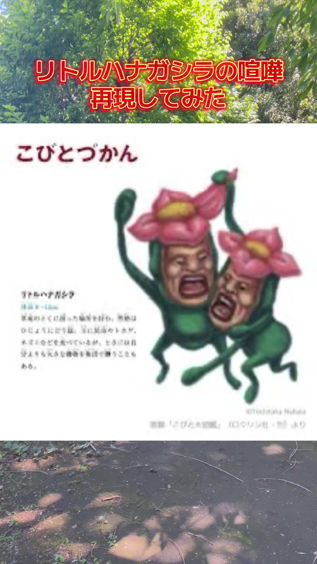 @こびとっく