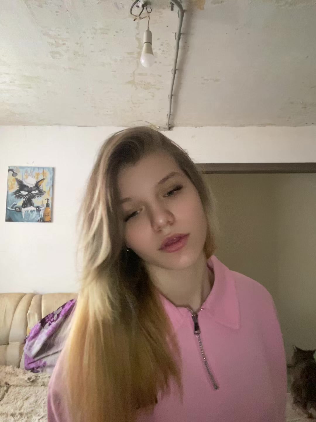 @вернер