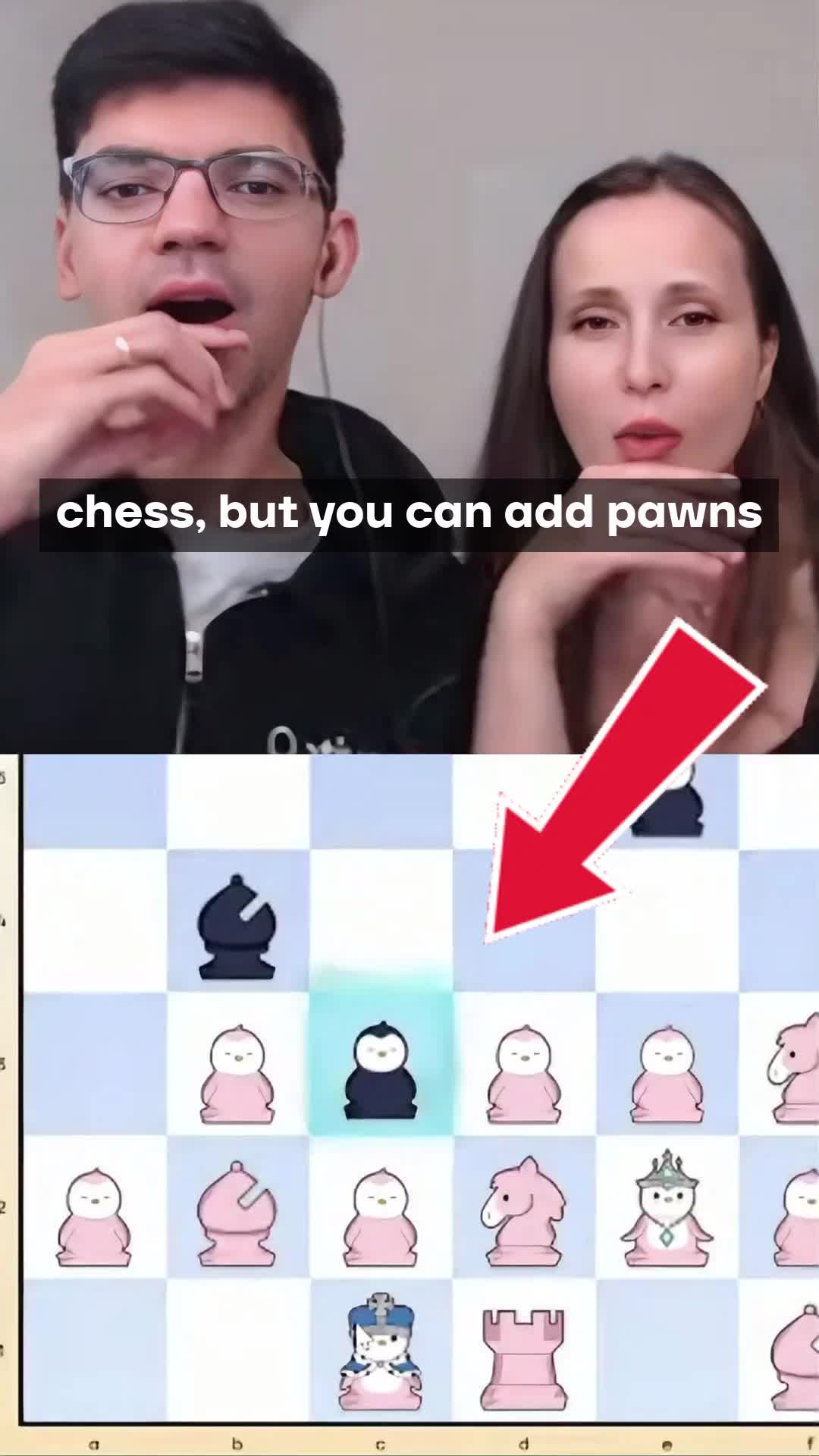 @Anichess