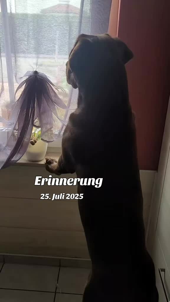 @Xandra mit X & Milo
