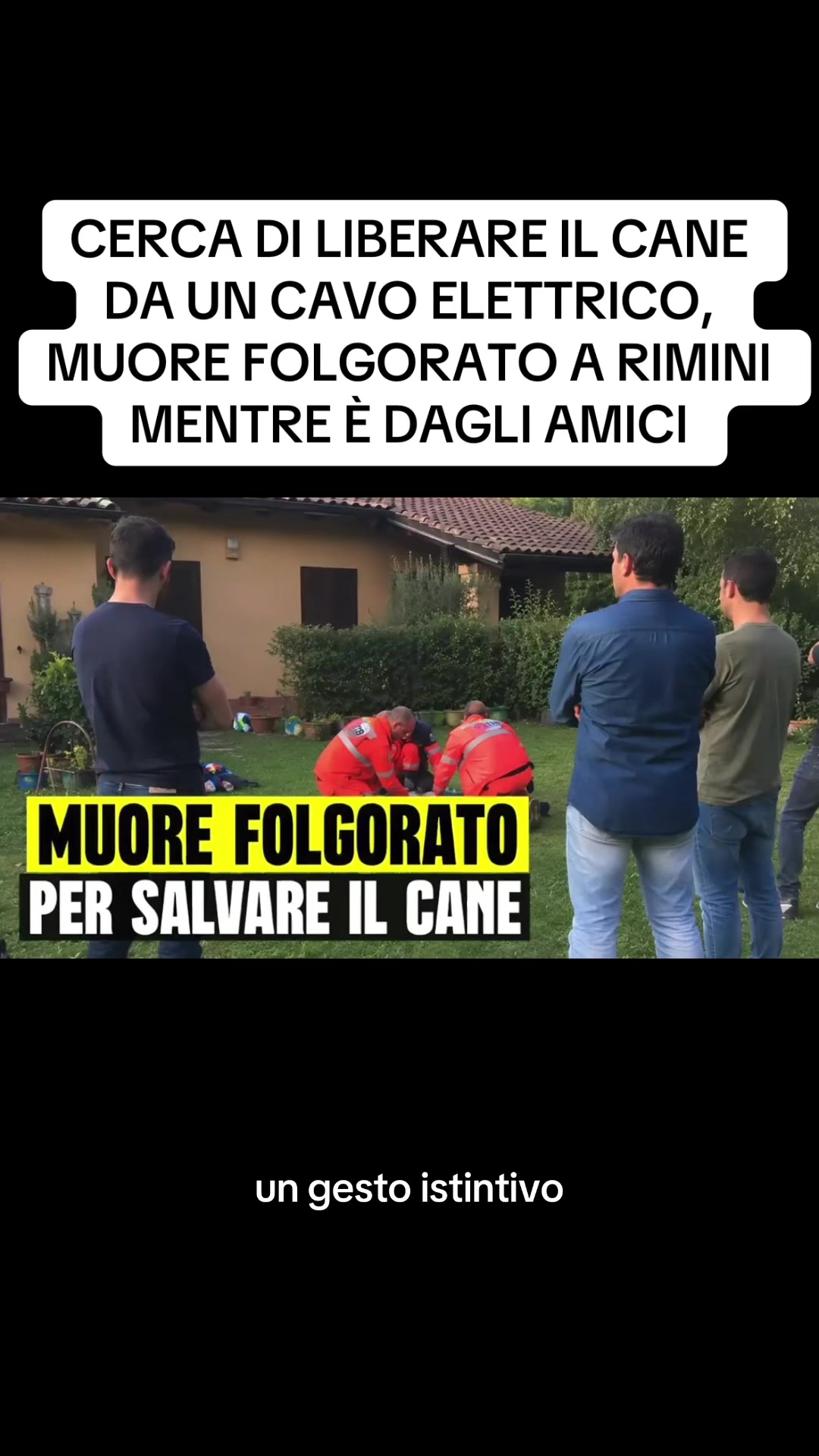 @flashtv_notizie