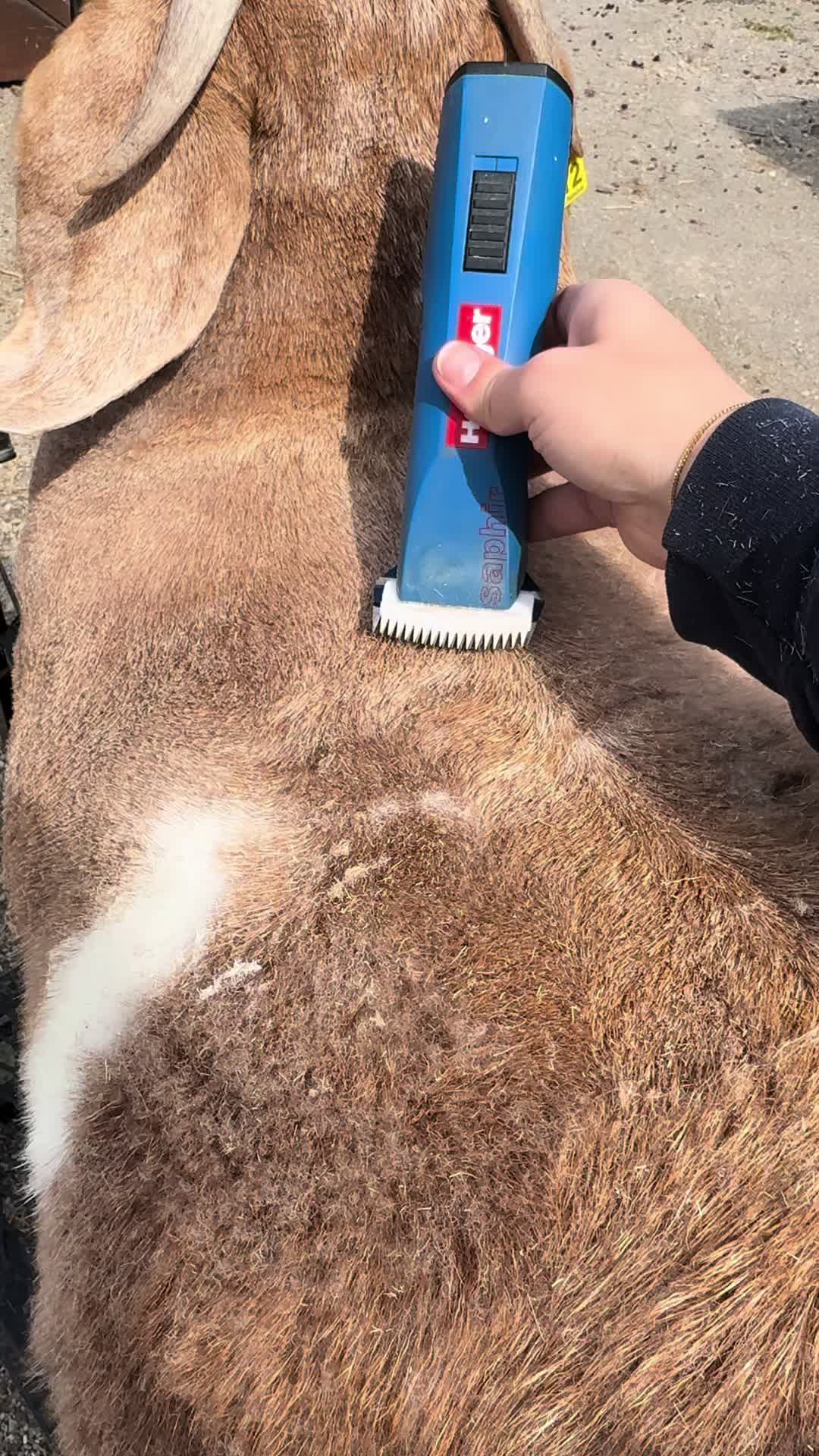 @Klein Kraal Farm🐐