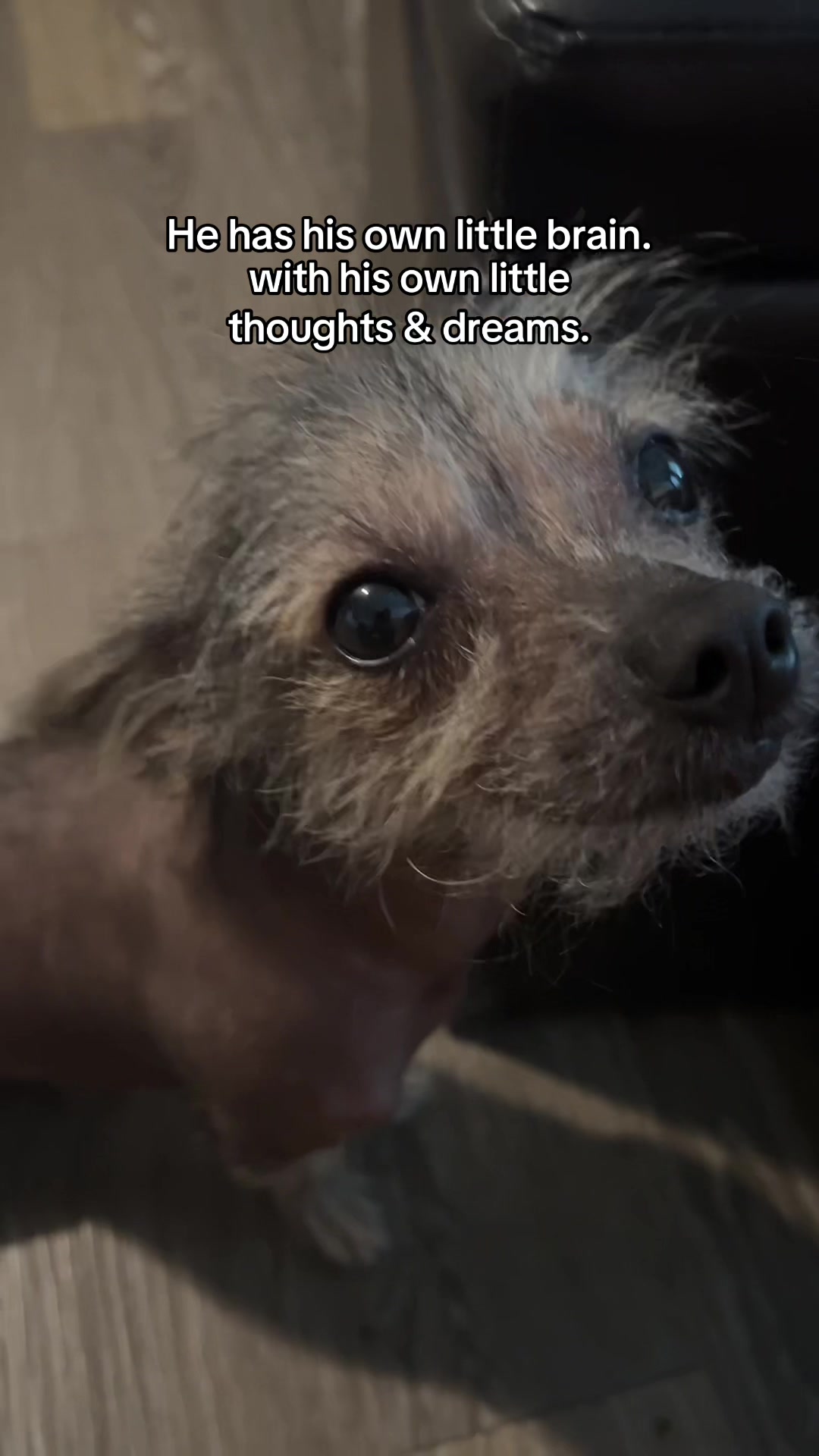 @Ozzy ◡̈